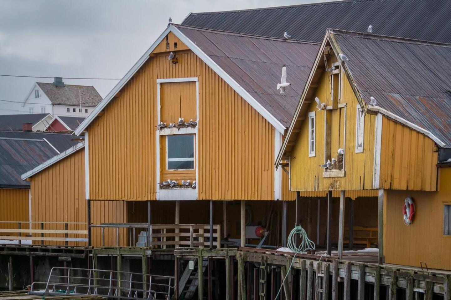 Explorers Cabin Lofoten Edge Sørvågen Buitenkant foto